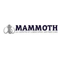 Mammoth Services Aylesbury image 1